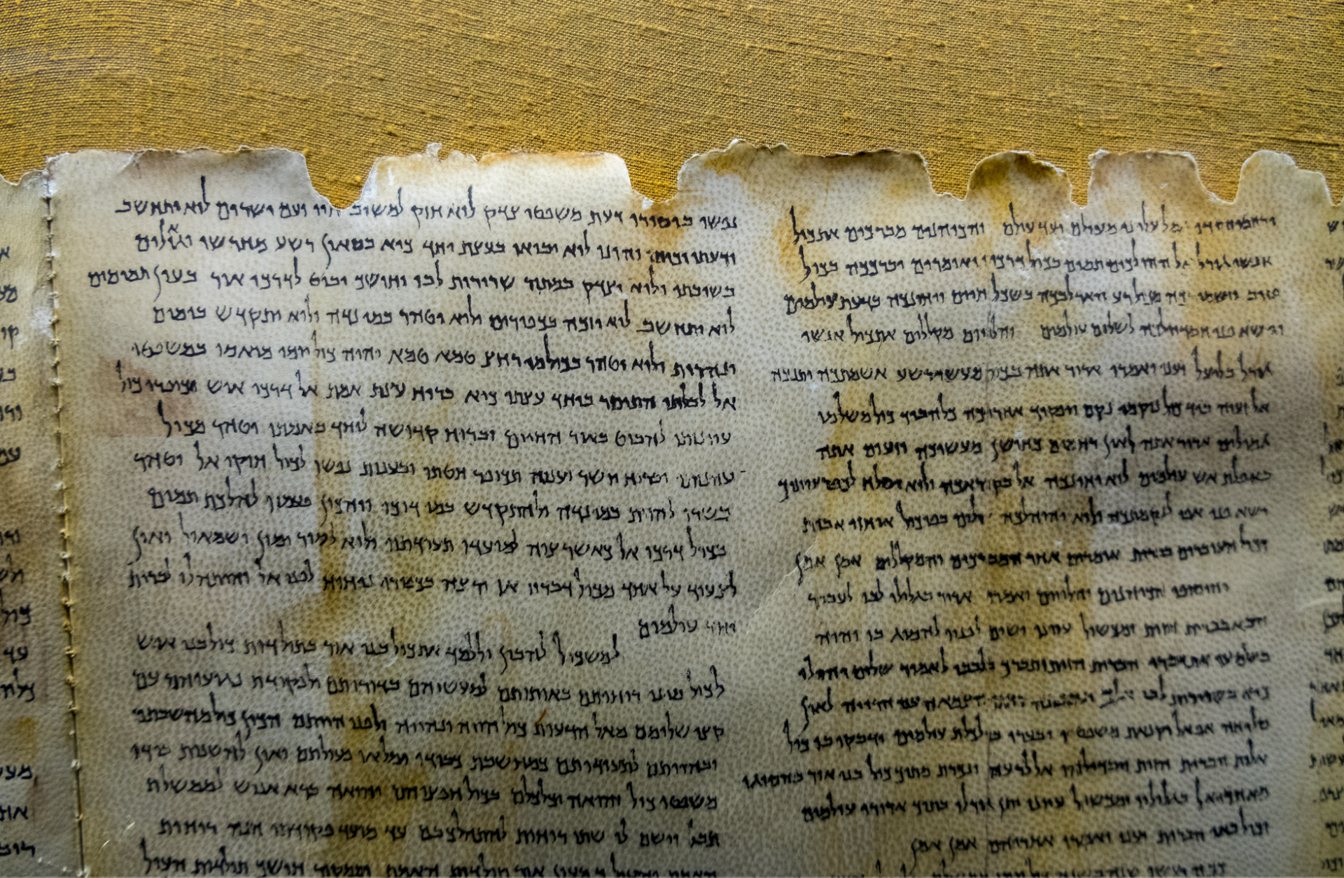 Dead Sea Scroll